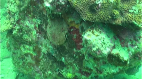 Pond5 43 Stock Footage 10857547