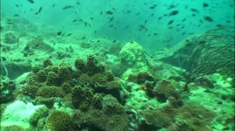 Pond5 48 Stock Footage 10856872