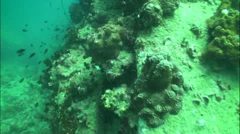 Pond5 49 Stock Footage 10858167