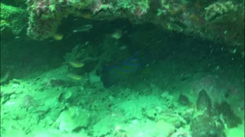 Pond5 50 Stock Footage 10857008