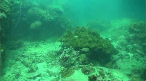 Pond5 51 Stock Footage 10857620