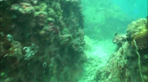 Pond5 54 Stock Footage 10857601