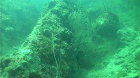 Pond5 55 Stock Footage 10857153