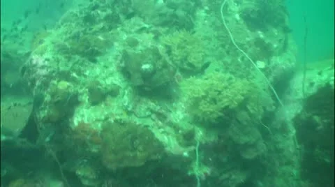 Pond5 57 Stock Footage 10858028