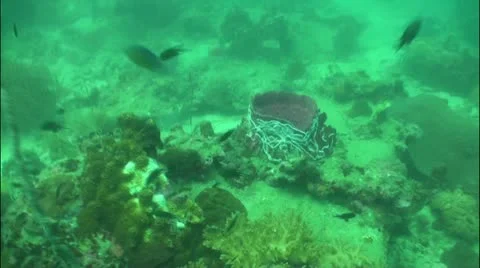 Pond5 58 Stock Footage 10857087