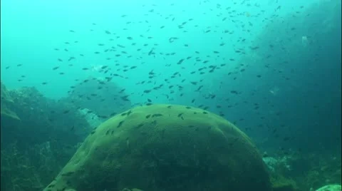 Pond5 6 Stock Footage 10837512