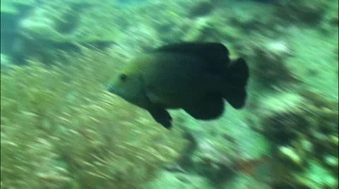 Pond5 64 Stock Footage 10857206