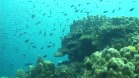 Pond5 7 Stock Footage 10837664