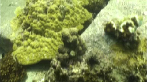 Pond5 70 Stock Footage 10857319