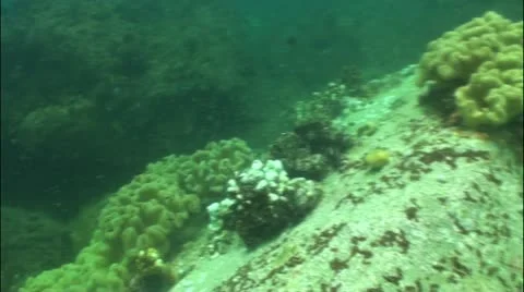 Pond5 73 Stock Footage 10858203