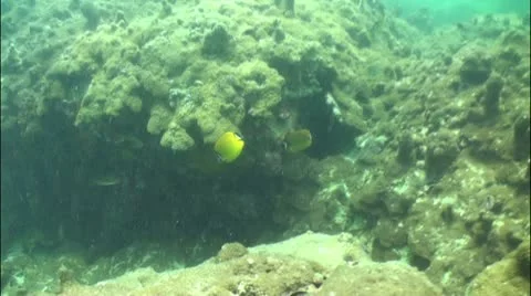 Pond5 74 Stock Footage 10857345