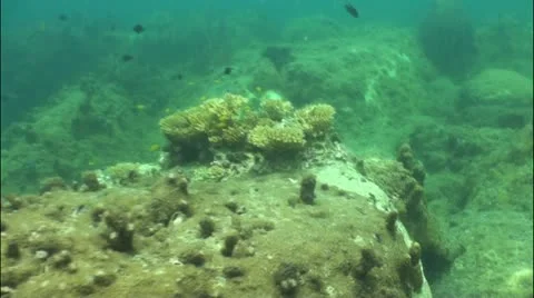 Pond5 75 Stock Footage 10857866