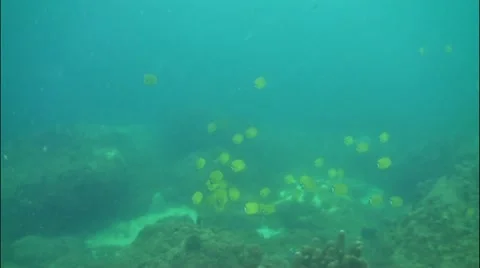 Pond5 77 Stock Footage 10858675