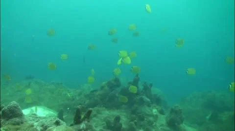 Pond5 78 Stock Footage 10857827