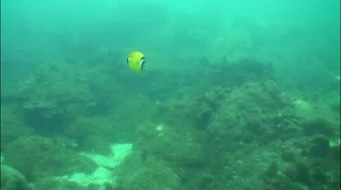 Pond5 79 Stock Footage 10857350