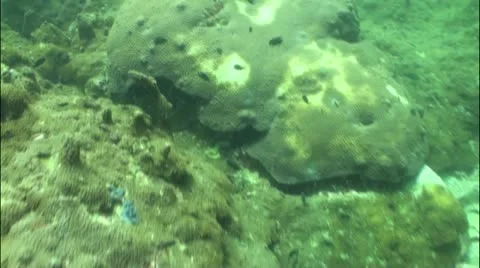 Pond5 82 Stock Footage 10857999