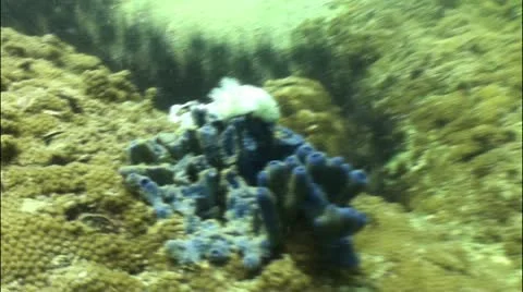 Pond5 83 Stock Footage 10857402