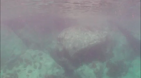 Pond5 86 Stock Footage 10857394