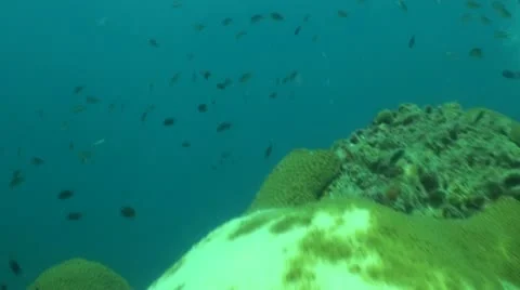 Pond5 89 Stock Footage 10883650