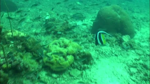 Pond5 9 Stock Footage 10837794