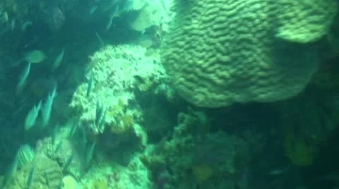 Pond5 90 Stock Footage 10883632