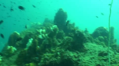 Pond5 96 Stock Footage 10885831