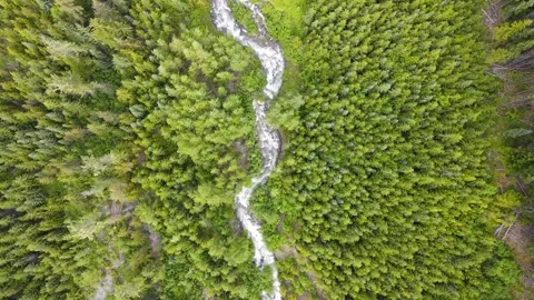 Pond5- Aerial view of river flowing thru forest (2.7K) Stock Footage