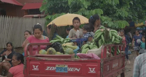 Pond5 price Stock Footage 102404184