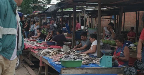 Pond5 price Stock Footage 102404262