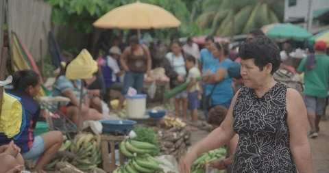 Pond5 price Stock Footage 102404953