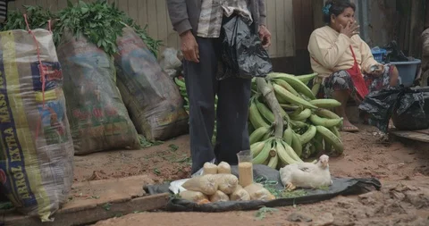 Pond5 price Stock Footage 102405882