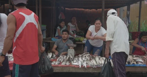 Pond5 price Stock Footage 102410715