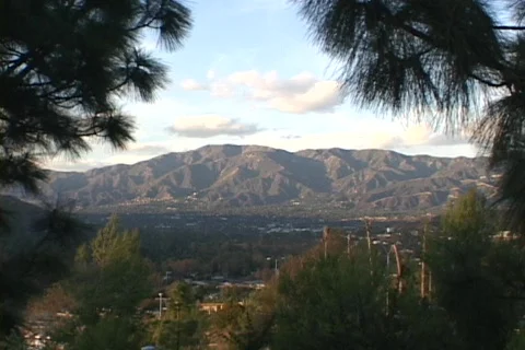 Ponderosa Pine trees frame the San Gabriel Mountains and San Fernando Valley in Stock Footage 437281