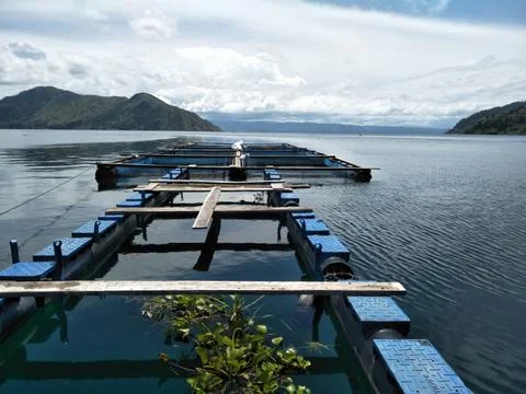 Ponds built on the edge of the lake and made naturally by the lakeside comm.. Stock Photos