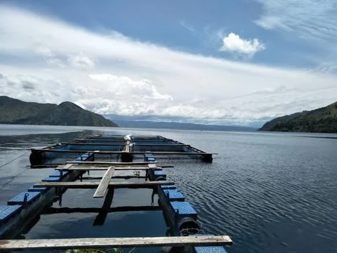 Ponds built on the edge of the lake and made naturally by the lakeside comm.. Stock Photos