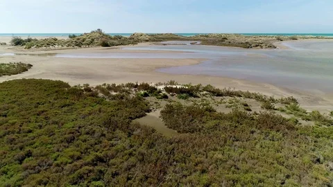 Ponds of Saintes Maries of the sea in the Bouches-du-Rhone in the Stock Footage
