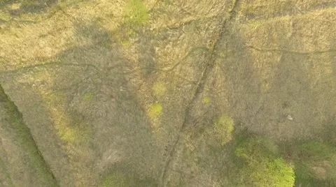 Ponds in a sunset Stock Footage 69067619