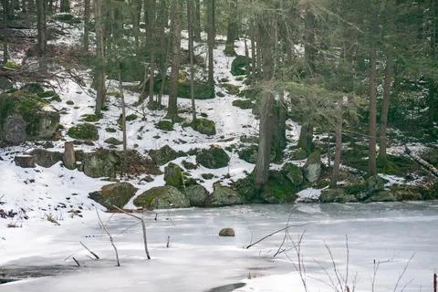 Pondside in winter Stock Photos