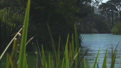 PondWithOrientalGazebo Panning Stock Footage 401300
