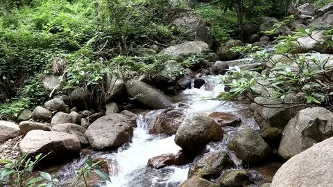 Pong pha bhat Waterfall , Chiang rai province, Thailand. Vídeos de archivo 70931516