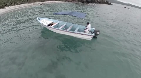 Ponga in the Cove Stock Footage 44210945