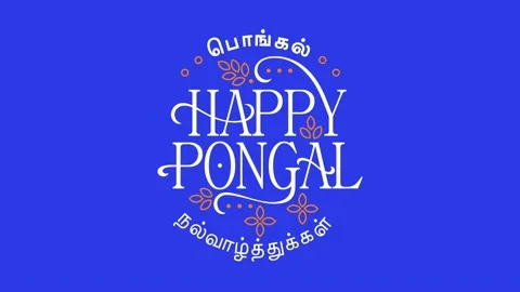 Pongal Wish Animation Bluescreen Background Stock Footage 228994101