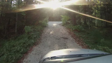 Ponit of view Stock Footage 45872012