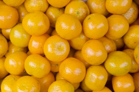 Ponkan oranges Stock Photos