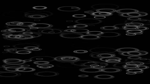 Ponnys Stock Footage 143596279