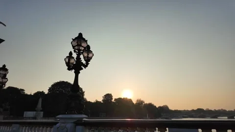 The Pont Alexandre III is a deck arch bridge that spans the Seine in Paris. Vidéo 323188880