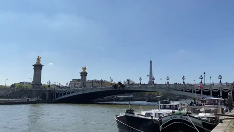 Pont Alexandre III Paris with Eiffel Tower in Background Stock-Footage 321776919
