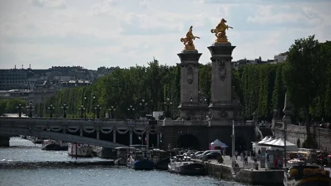 Pont Alexandre III in Paris Video stock 245345115