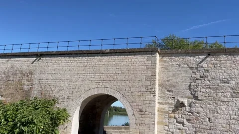 Pont (bridge) d'Avignon 動画素材 229713071