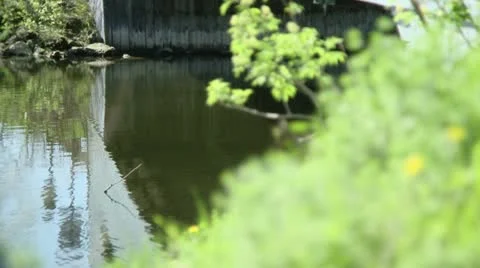 Pont couvert Stock Footage 21355418